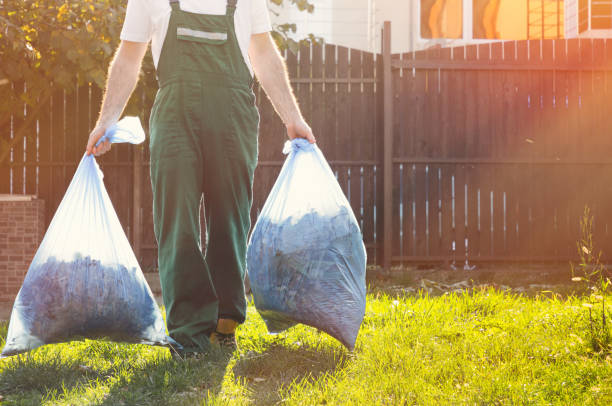 Shed Removal in Mather, CA